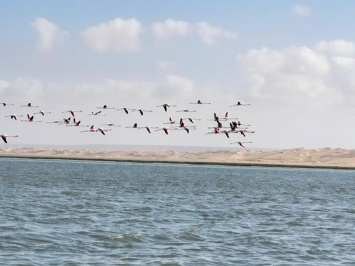 Hotel El Ghazi Tarfaya Eksteriør billede